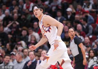 突显了森林 突显了森林